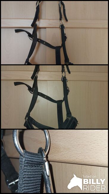 Kappzaum full schwarz, Powerhorse, Lonżowanie, Ziemetshausen, Image 4