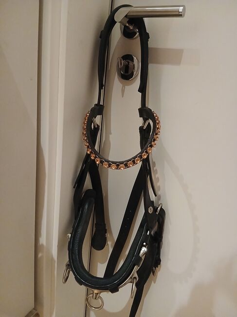 Kappzaum Voll, Eigenmarke von losdau Kappzaum , Anne,schott, Lonżowanie, Neustadt An Der Weinstraße