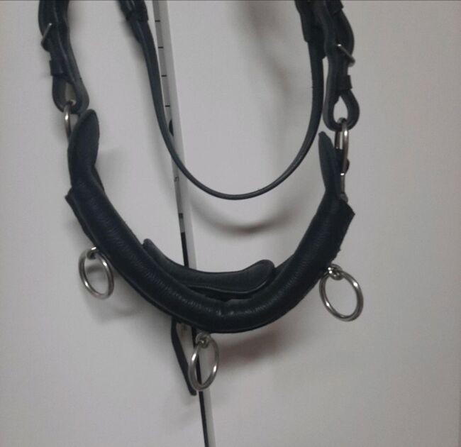 Kappzaum Full, Katta, Lunging, Nottertal-Heilinger Höhen , Image 2