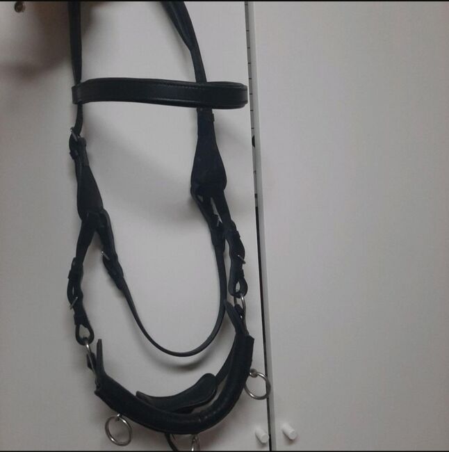 Kappzaum Full, Katta, Lunging, Nottertal-Heilinger Höhen , Image 3