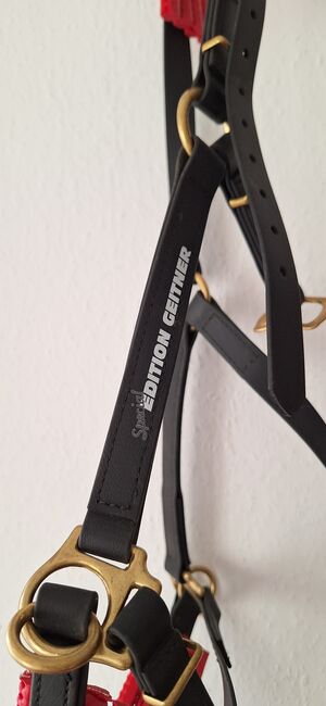 Kappzaum Geitner, Geitner Geitner Special Edition, Jana, Bitless Bridles, Esslingen, Image 2