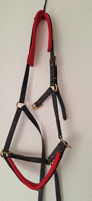 Kappzaum Geitner, Geitner Geitner Special Edition, Jana, Bitless Bridles, Esslingen