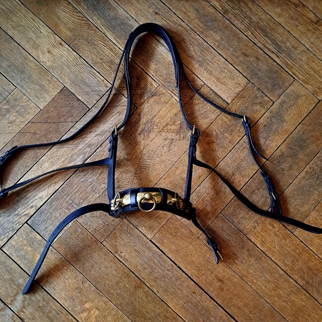 Kappzaum Loesdau Profi Warmblut, Loesdau  Kappzaum Profi Warmblut , Julia P., Pozostałe, Köln