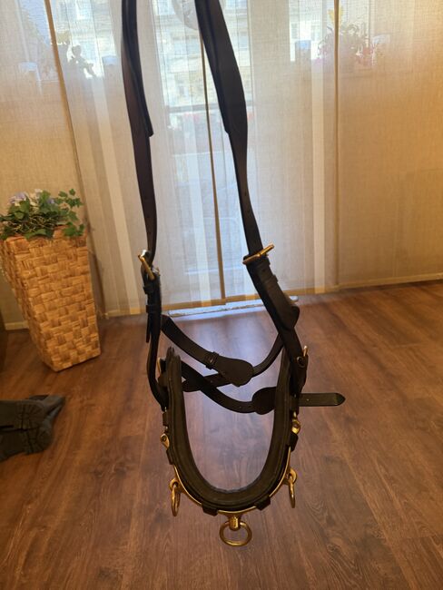 Kappzaum Loesdau WB, Loesdau Kappzaum Loesdau, Jacqueline Koch, Other, ESSEN