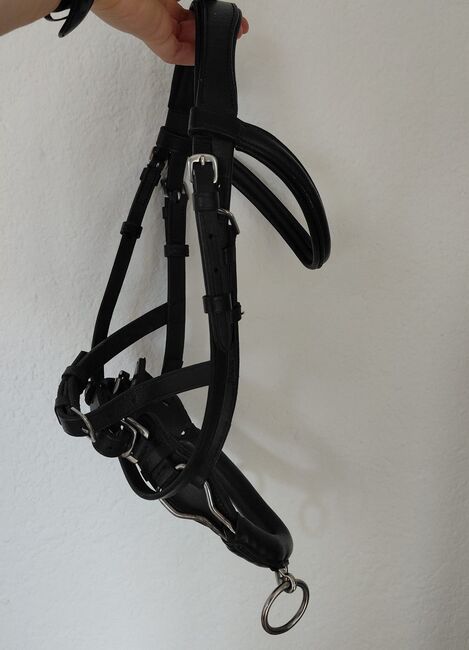 Kappzaum Pony Leder, Sophie Marie Studer, Lunging, St.Erhard