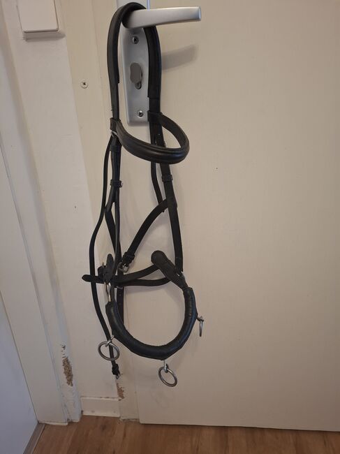 Kappzaum schwarz, Annika, Lunging, Hohenmölsen 