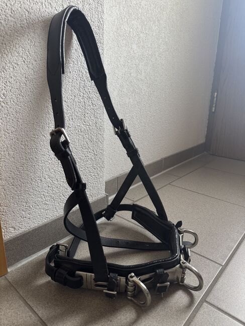 Kappzaum schwarz/silber, Kerstin, Lunging, Nenzing, Image 3