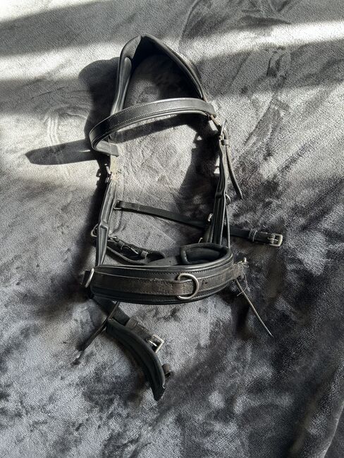 Kappzaum WB anatomisch, Dana, Lunging, Moorweg