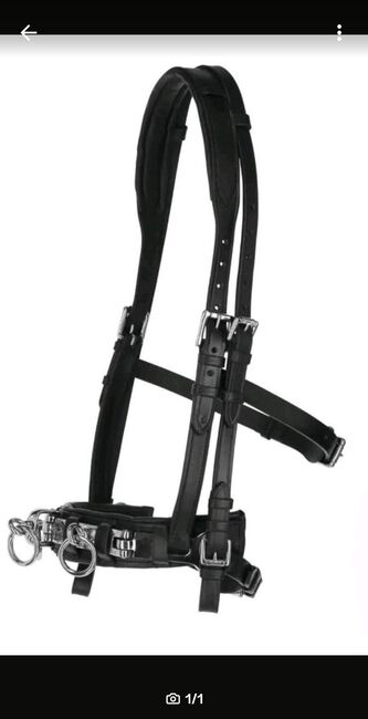 Kappzaum WB/Full mit Gebissriemen NEU, Anna, Lonżowanie, Recklinghausen 