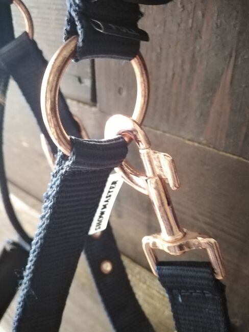 Kappzaum wb, Showmaster , Melie , Bitless Bridles, Vorderweidenthal , Image 5