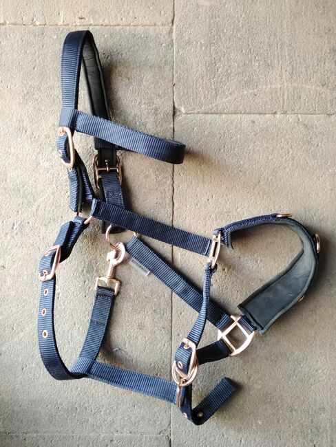 Kappzaum wb, Showmaster , Melie , Bitless Bridles, Vorderweidenthal , Image 2