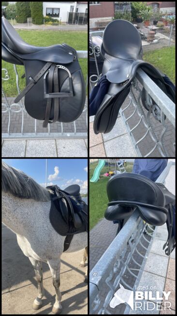 Kentaur Kassipeia, Kentaur  Kessiopeia, Anne Brandt , All Purpose Saddle, Woltersdorf, Image 9