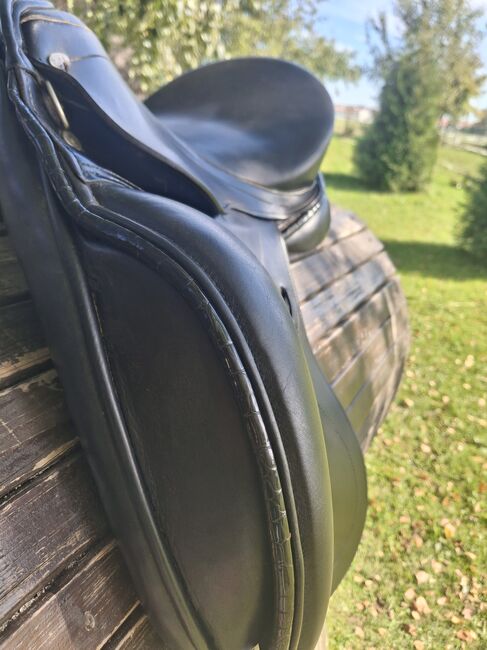 Kentaur Elektra, Kentaur Elektra , Selina schöb, Dressage Saddle, Ottobeuren , Image 7