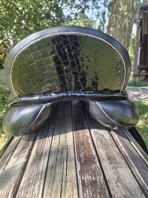 Kentaur Elektra, Kentaur Elektra , Selina schöb, Dressage Saddle, Ottobeuren , Image 5