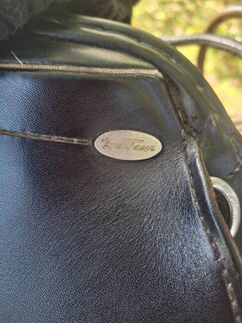 Kentaur Elektra, Kentaur Elektra , Selina schöb, Dressage Saddle, Ottobeuren , Image 9