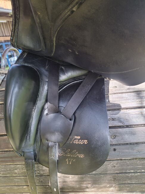 Kentaur Elektra, Kentaur Elektra , Selina schöb, Dressage Saddle, Ottobeuren , Image 3