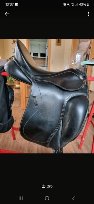 Kentaur Elektra, Kentaur  Elektra, Laura Belzner , Dressage Saddle, Spaichingen, Image 2