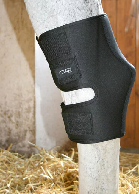 Ceratex Sprunggelenkschoner in Gr. L für links, Ceratex Sprunggelenkschoner , Christina Hurst, Tendon Boots, 73230, Image 7