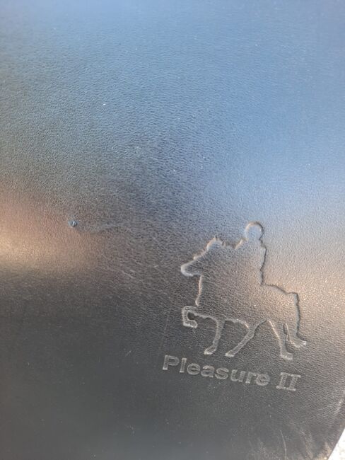 Champion Rider pleasure 2, Championrider Pleasure 2, Johanna, Isländersattel, Bitz, Abbildung 4