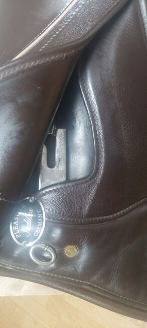 Champion Rider, Champion rider Plesure lk3, Simon, Icelandic Saddle, Krumbach, Image 5