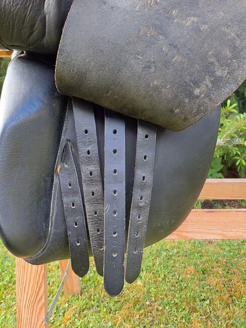 Champion Rider Sattel PLEASURE II, Champion Rider Pleasure II, Babette Kempf, Icelandic Saddle, Göttingen, Image 8