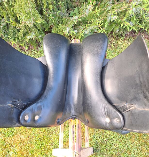 Champion Rider Sattel PLEASURE II, Champion Rider Pleasure II, Babette Kempf, Icelandic Saddle, Göttingen, Image 3