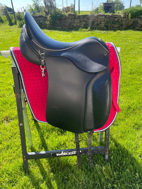 Championrider Pleasur Lk 1 17.5 Zoll von 2022, Championrider  Lk1 Pleasure , Petra, Icelandic Saddle, Neunkirchen