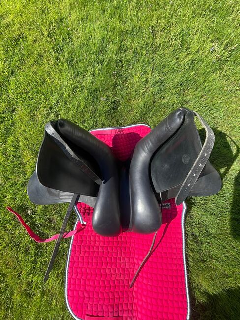 Championrider Pleasur Lk 1 17.5 Zoll von 2022, Championrider  Lk1 Pleasure , Petra, Icelandic Saddle, Neunkirchen, Image 4
