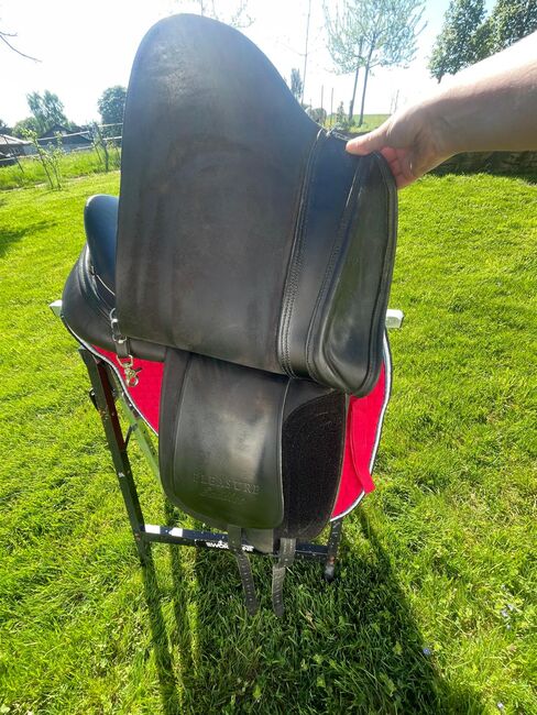 Championrider Pleasur Lk 1 17.5 Zoll von 2022, Championrider  Lk1 Pleasure , Petra, Icelandic Saddle, Neunkirchen, Image 7