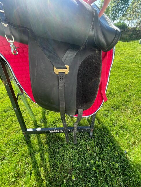 Championrider Pleasur Lk 1 17.5 Zoll von 2022, Championrider  Lk1 Pleasure , Petra, Icelandic Saddle, Neunkirchen, Image 2