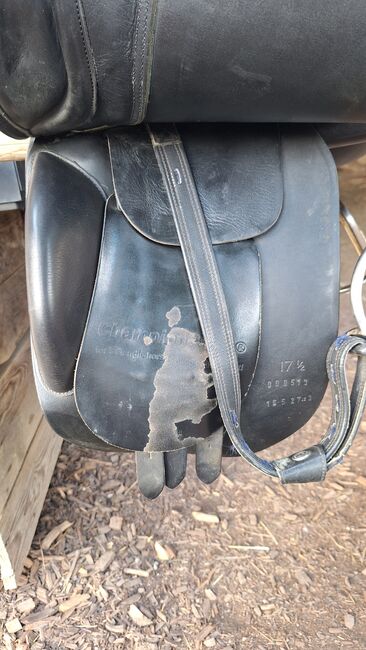 Championrider Pleasure II, Championrider Pleasure II , Susanna Glaser , Icelandic Saddle, Graz, Image 4