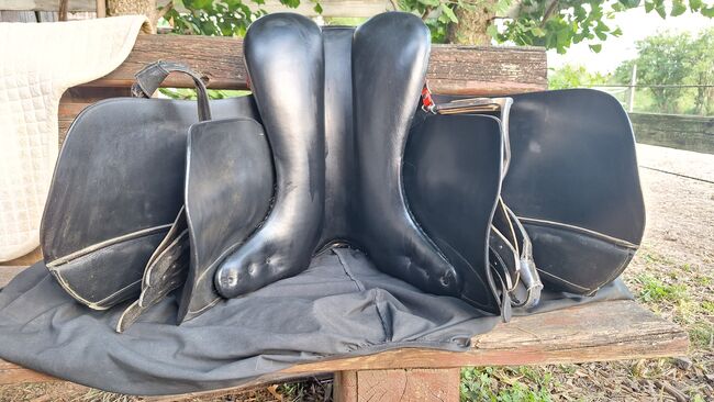 Championrider Pleasure II, Championrider Pleasure II , Susanna Glaser , Icelandic Saddle, Graz, Image 3