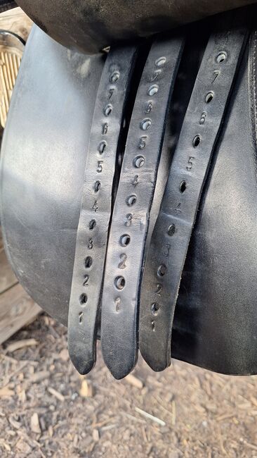 Championrider Pleasure II, Championrider Pleasure II , Susanna Glaser , Icelandic Saddle, Graz, Image 7