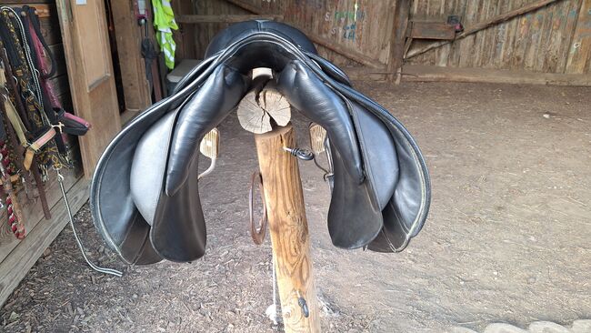 Championrider Pleasure II, Championrider Pleasure II , Susanna Glaser , Icelandic Saddle, Graz, Image 8