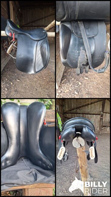 Championrider Pleasure II, Championrider Pleasure II , Susanna Glaser , Icelandic Saddle, Graz, Image 10