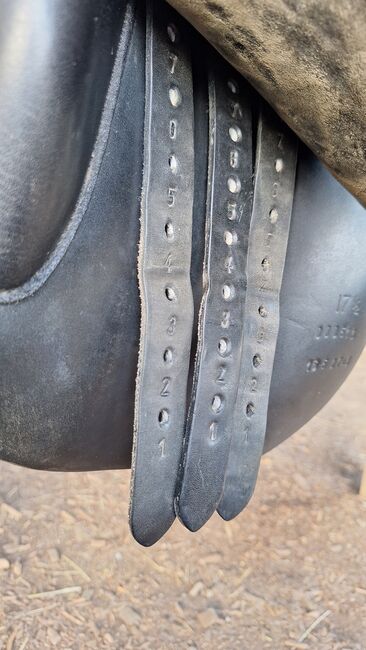 Championrider Pleasure II, Championrider Pleasure II , Susanna Glaser , Icelandic Saddle, Graz, Image 6