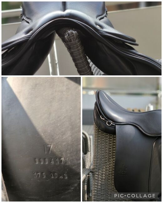 Championrider Pleasure II, Championrider  Pleasure II , Lea , Icelandic Saddle, Haltern am See