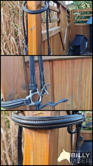 Trense von Championrider, Championrider, Alex, Bridles & Headstalls, Wenden, Image 4