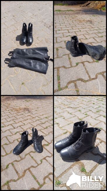 Chaps Stiefeletten Reitschuhe 37 40×30, Franzi, Jodhpur Boots, Ebsdorfergrund, Image 5