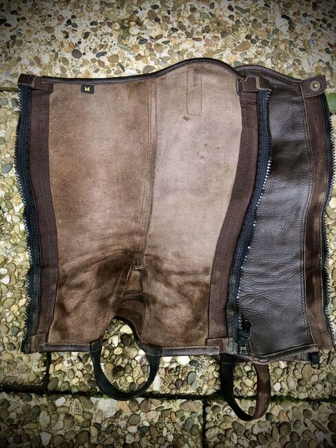 Chaps "Fusion" von Steeds, braun, Rindsleder, Steeds Fusion, Rieke Lampart, Half Chaps, Birkenau, Image 2