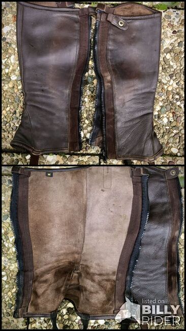 Chaps "Fusion" von Steeds, braun, Rindsleder, Steeds Fusion, Rieke Lampart, Half Chaps, Birkenau, Image 3