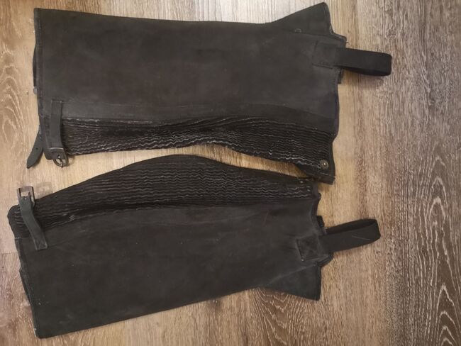 Chaps Größe L, Busse , Isabella K. , Half Chaps, Mittweida , Image 2