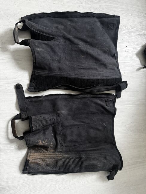 Chaps Gr. L, Celine Baum, Half Chaps, Taunusstein 