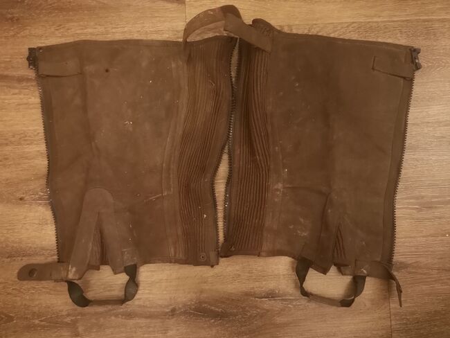 Chaps Größe S Braun, Isabella K. , Half Chaps, Mittweida , Image 2