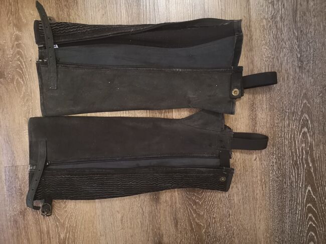 Chaps Größe L, Busse , Isabella K. , Half Chaps, Mittweida , Image 3