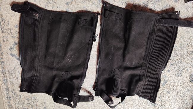 Chaps, Größe M, A. Schön, Half Chaps, Karben