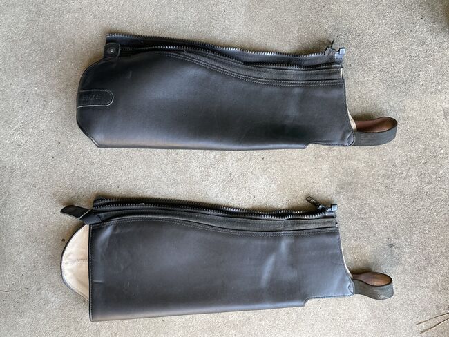 Chapsletten Steeds L, Steeds, Pia Pfaffmann, Half Chaps, Falkensee