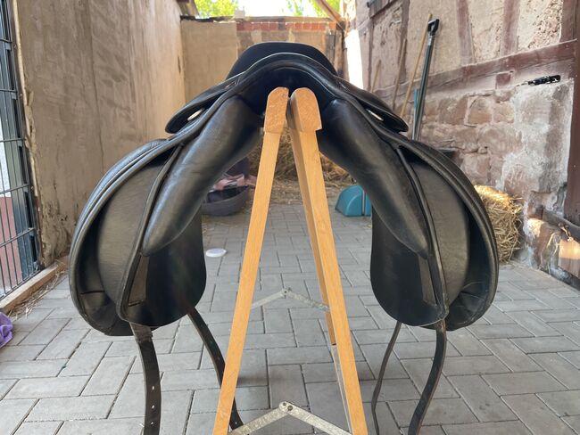 Busse „Chester“, Busse Chester, Christina E, Icelandic Saddle, Rauschenberg, Image 8