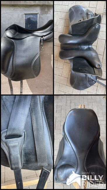 Busse „Chester“, Busse Chester, Christina E, Icelandic Saddle, Rauschenberg, Image 9