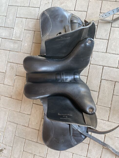 Busse „Chester“, Busse Chester, Christina E, Icelandic Saddle, Rauschenberg, Image 3